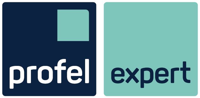 Logo Profel